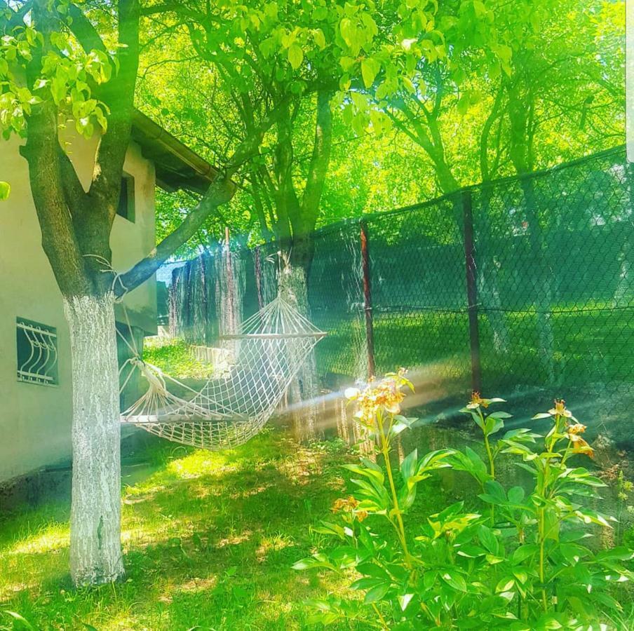 Вілла Keep Calm Garden Сараєво Екстер'єр фото